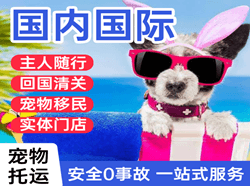 三明沙县机场货运国际宠物托运 【国